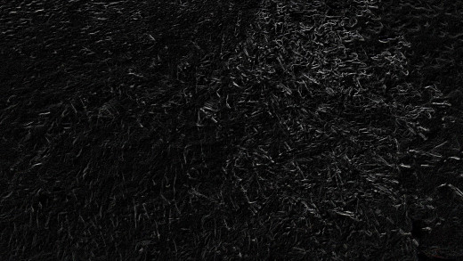 1638695 (a): :4288x2416